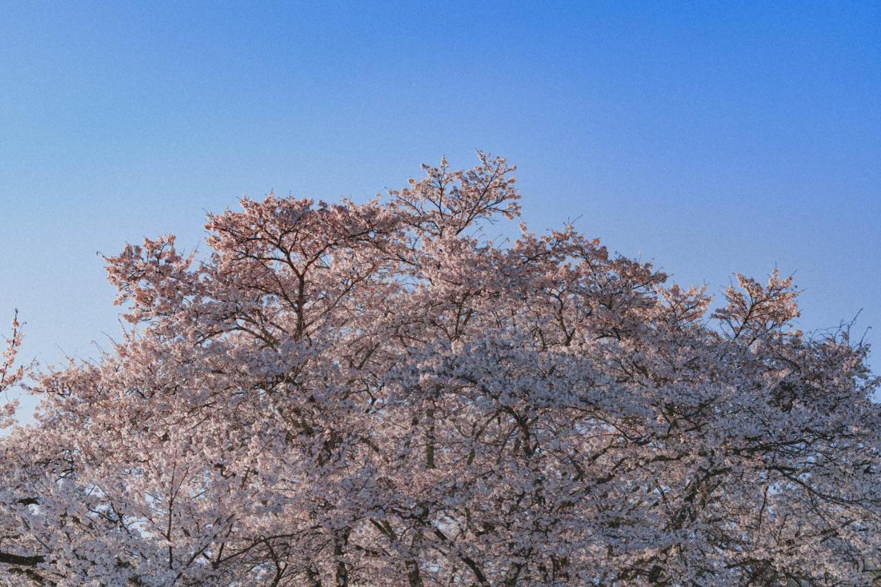 Kominkayado Loof Sakanoie Fuefuki Zewnętrze zdjęcie